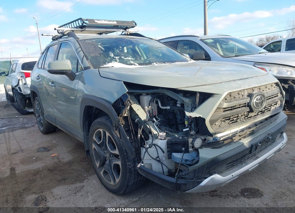 2019 TOYOTA RAV4 ADVENTURE VIN: 2T3J1RFV7KW016204