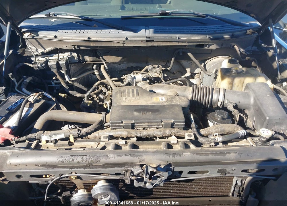 2009 FORD F150 VIN: 1FTRX12WX9FA69251