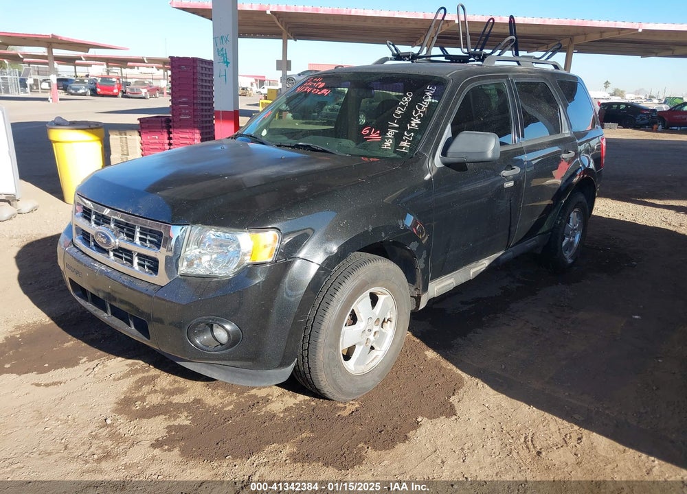 2011 FORD ESCAPE XLT VIN: 1FMCU0DG0BKC42380