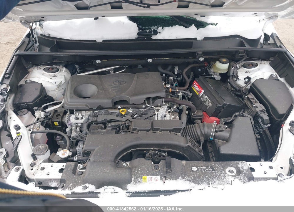 2019 TOYOTA RAV4 VIN: JTMP1RFV5KD035891