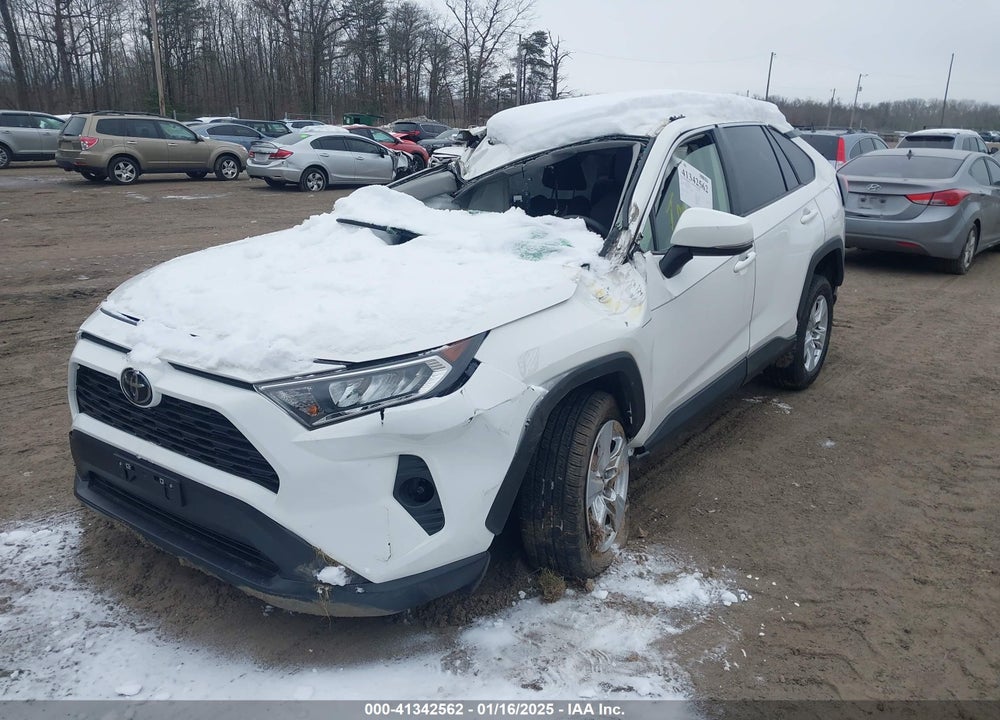 2019 TOYOTA RAV4 VIN: JTMP1RFV5KD035891