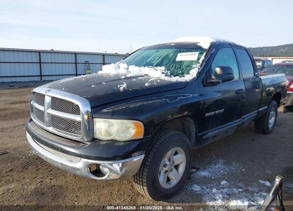 2002 DODGE RAM 1500 ST VIN: 3D3HU18Z32G131249