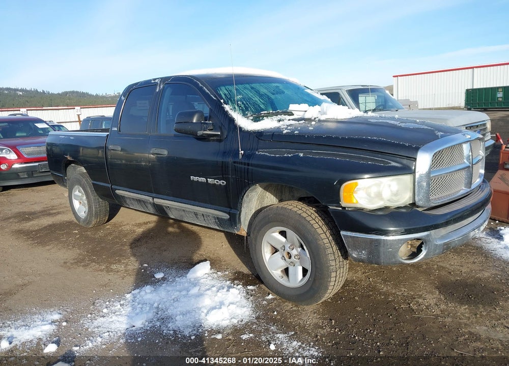 2002 DODGE RAM 1500 ST VIN: 3D3HU18Z32G131249