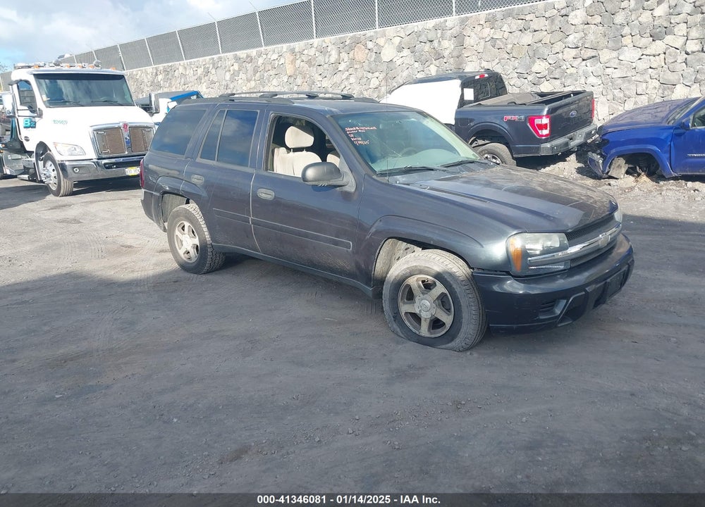 2006 CHEVROLET TRAILBLAZER LS VIN: 1GNDT13S362173009