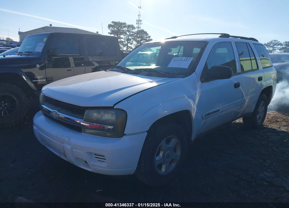 2002 CHEVROLET TRAILBLAZER LS VIN: 1GNDS13S122406687