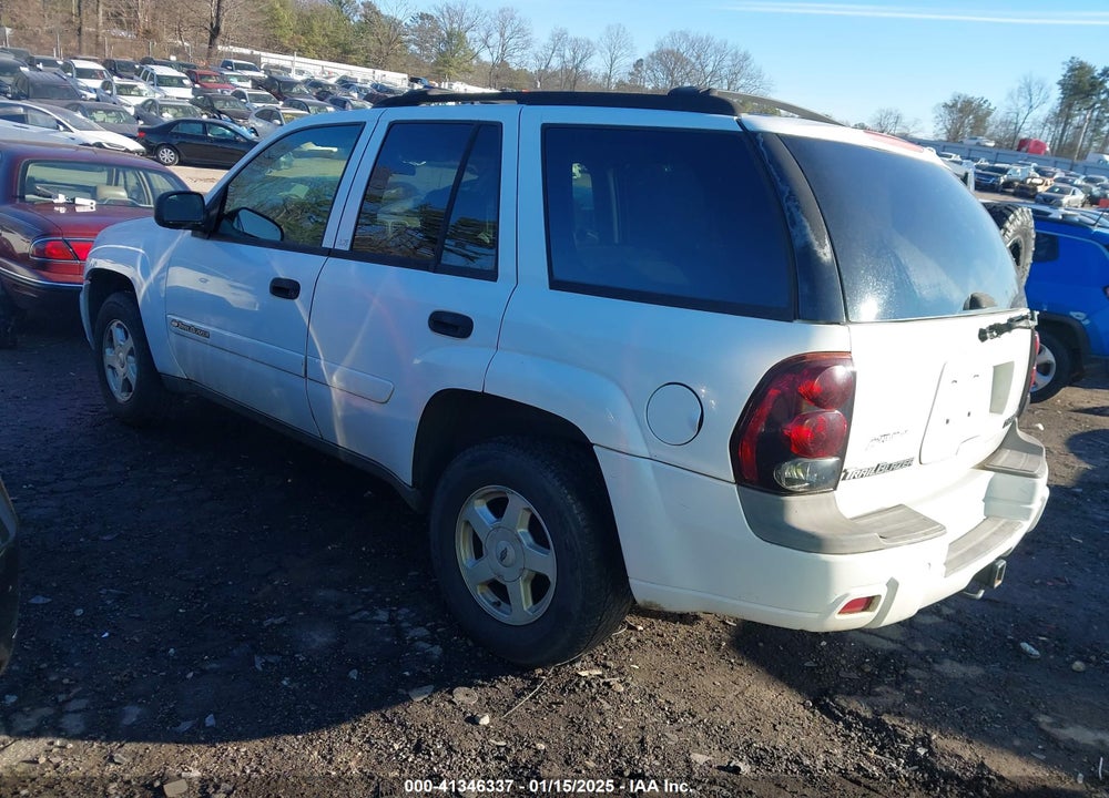 2002 CHEVROLET TRAILBLAZER LS VIN: 1GNDS13S122406687