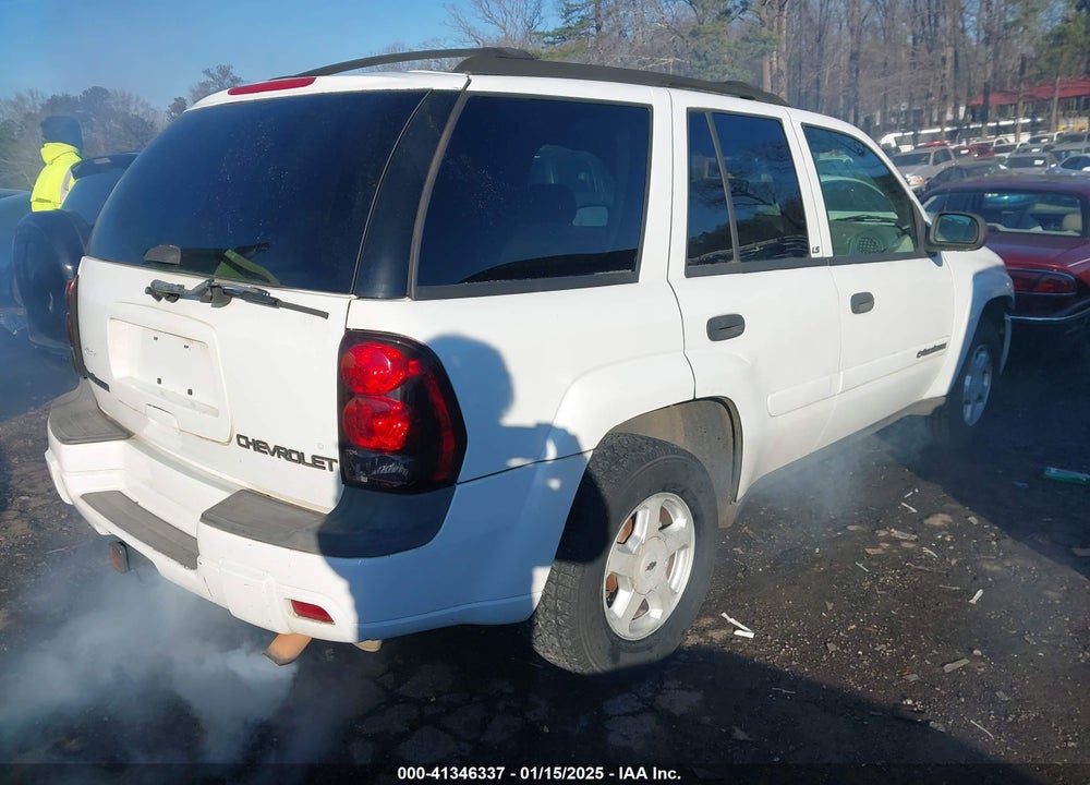 2002 CHEVROLET TRAILBLAZER LS VIN: 1GNDS13S122406687