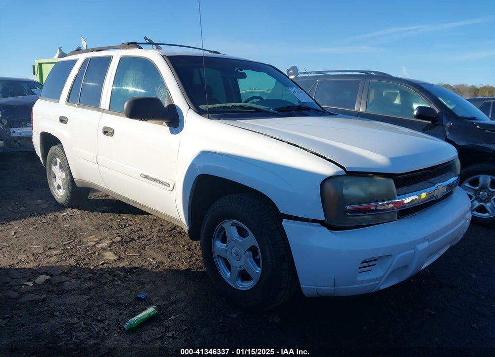 2002 CHEVROLET TRAILBLAZER LS VIN: 1GNDS13S122406687