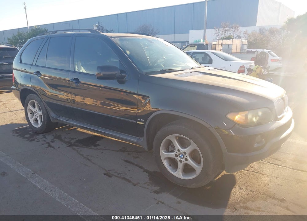 2005 BMW X5 4.4I VIN: 5UXFB53575LV15848