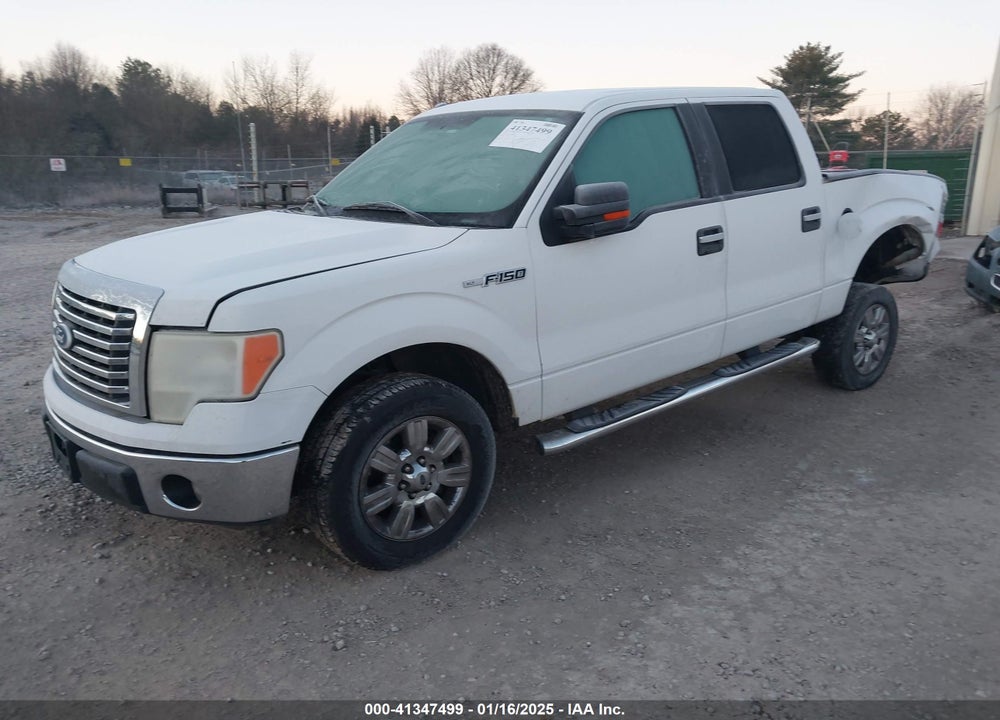 2011 FORD F150 VIN: 1FTFW1CF6BKD80984