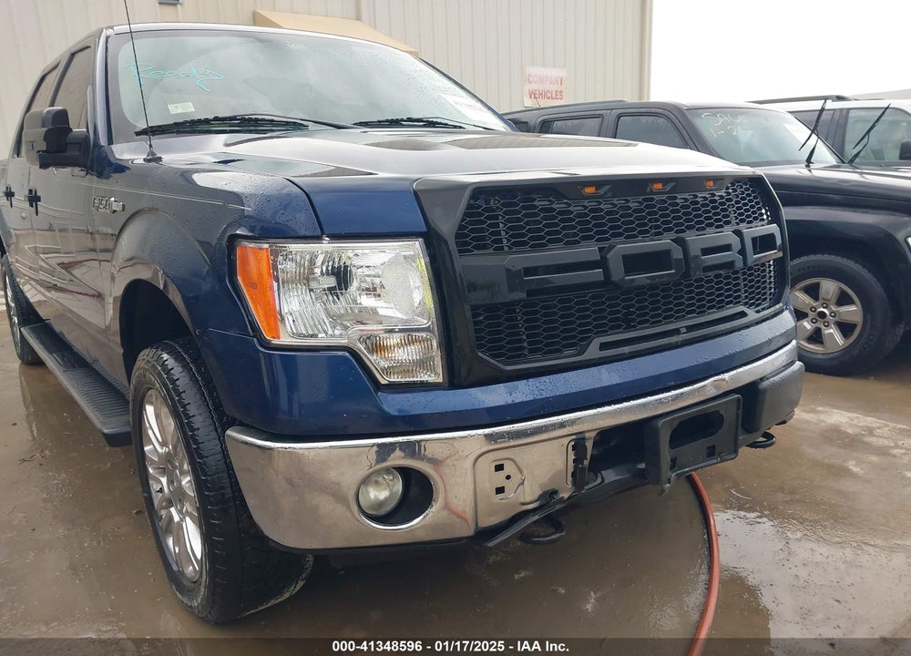2011 FORD F-150 XLT VIN: 1FTFW1EF7BKD51880