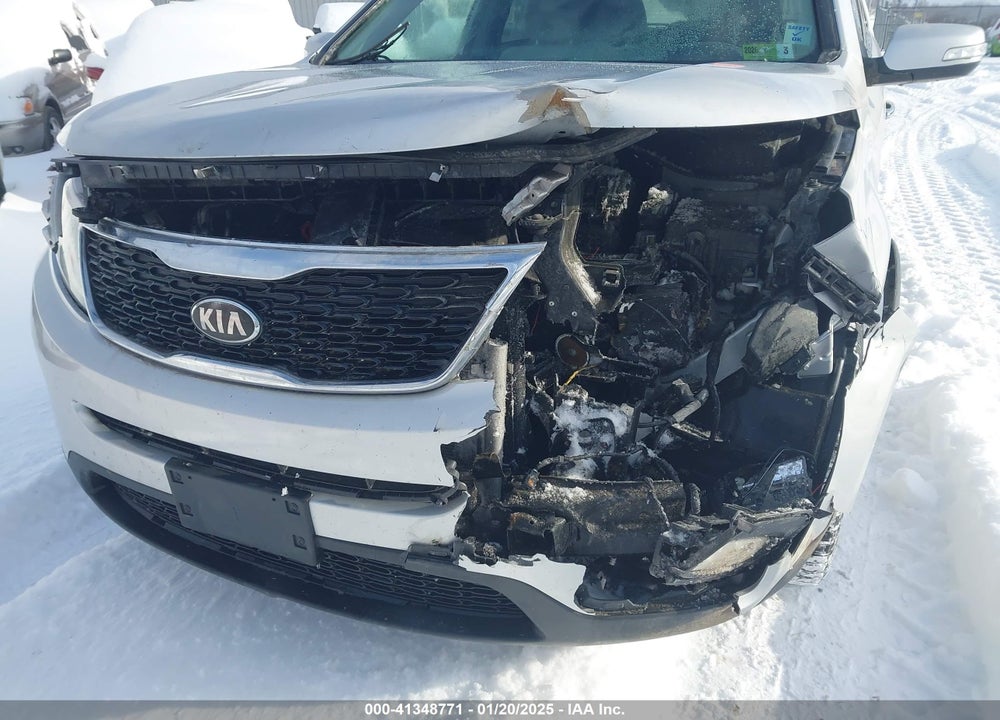 2014 KIA SORENTO LX VIN: 5XYKTCA65EG451446