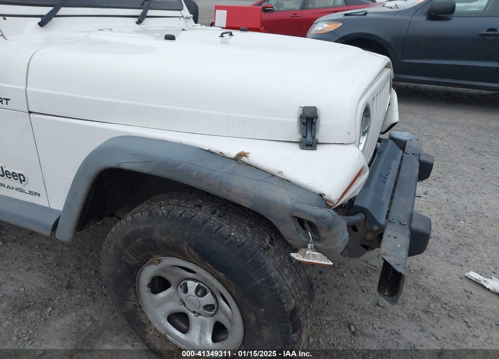 2006 JEEP WRANGLER SPORT RHD VIN: 1J4F449S16P709895