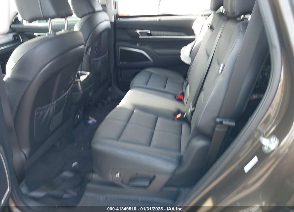 2024 KIA TELLURIDE VIN: 5XYP34GC3RG521217