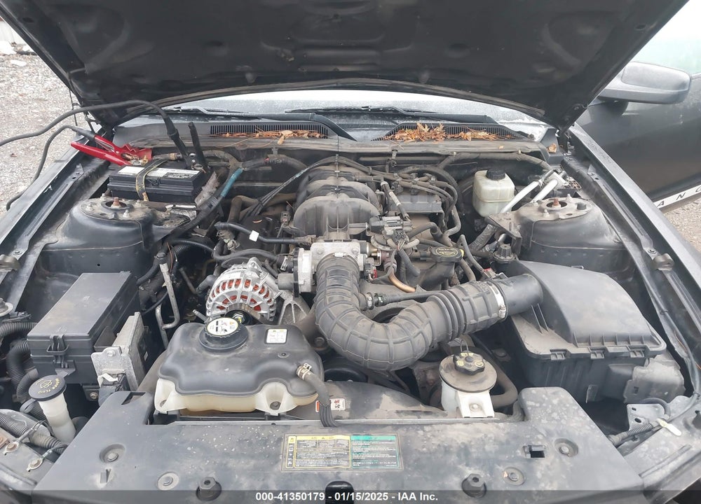 2006 FORD MUSTANG V6 VIN: 1ZVFT84N065190560