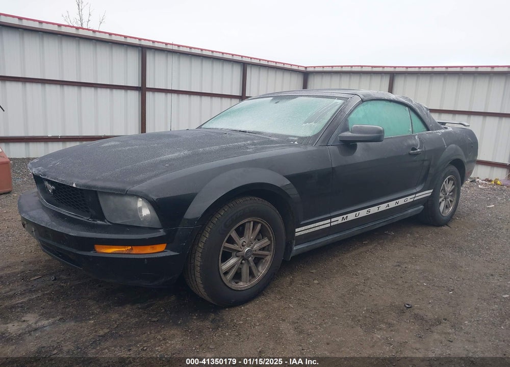 2006 FORD MUSTANG V6 VIN: 1ZVFT84N065190560