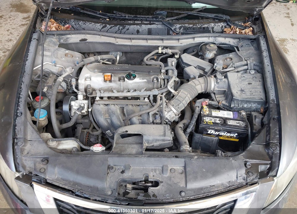 2010 HONDA ACCORD VIN: 1HGCP2F32AA011391