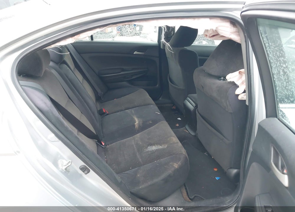 2010 HONDA ACCORD VIN: 1HGCP2F46AA020961