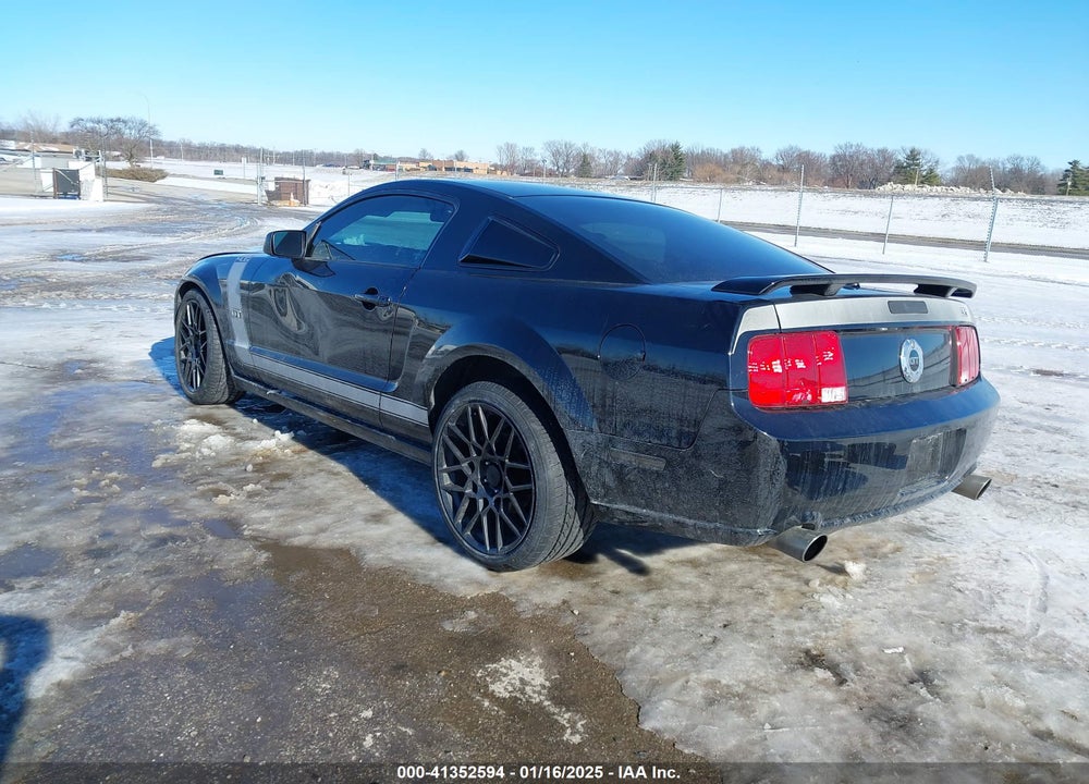 2007 FORD MUSTANG GT DELUXE/GT PREMIUM VIN: 1ZVFT82H775319621