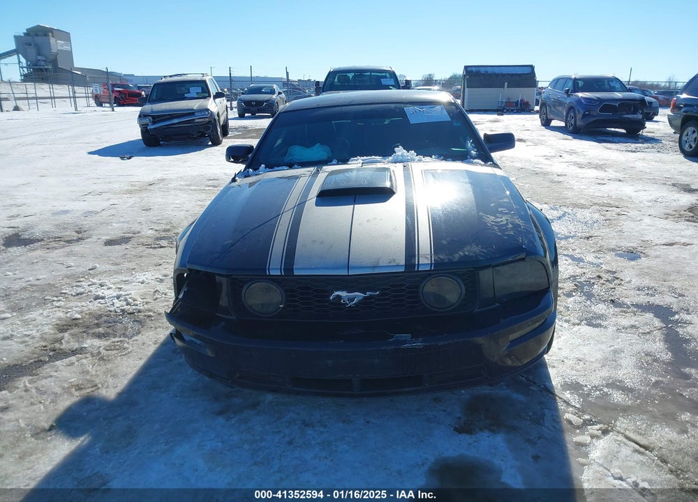 2007 FORD MUSTANG GT DELUXE/GT PREMIUM VIN: 1ZVFT82H775319621