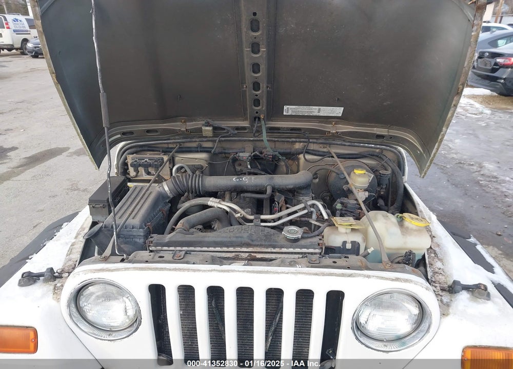 2003 JEEP WRANGLER X VIN: 1J4FA39S83P331363