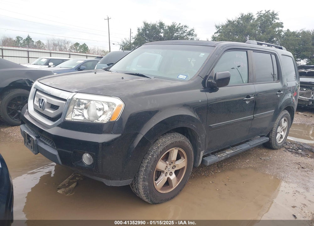 2009 HONDA PILOT EX-L VIN: 5FNYF38559B000822