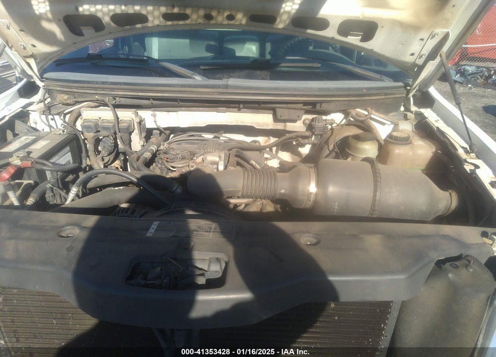 2006 FORD F-150 STX/XL/XLT VIN: 1FTRF12236NB35799