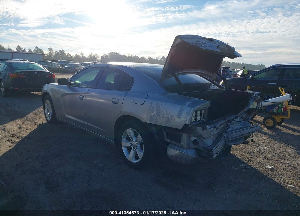 2014 DODGE CHARGER VIN: 2C3CDXBG2EH133094