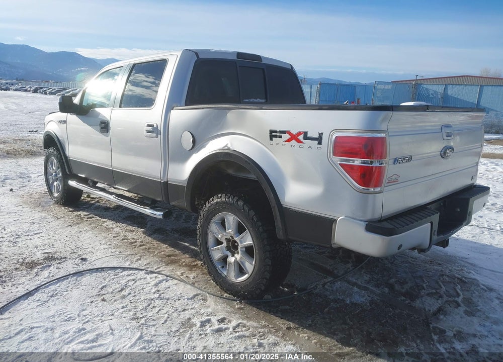 2010 FORD F-150 VIN: 1FTFW1EV3AFC23151