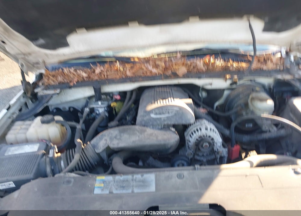 2007 CHEVROLET SILVERADO VIN: 1GCEC19V27Z191136