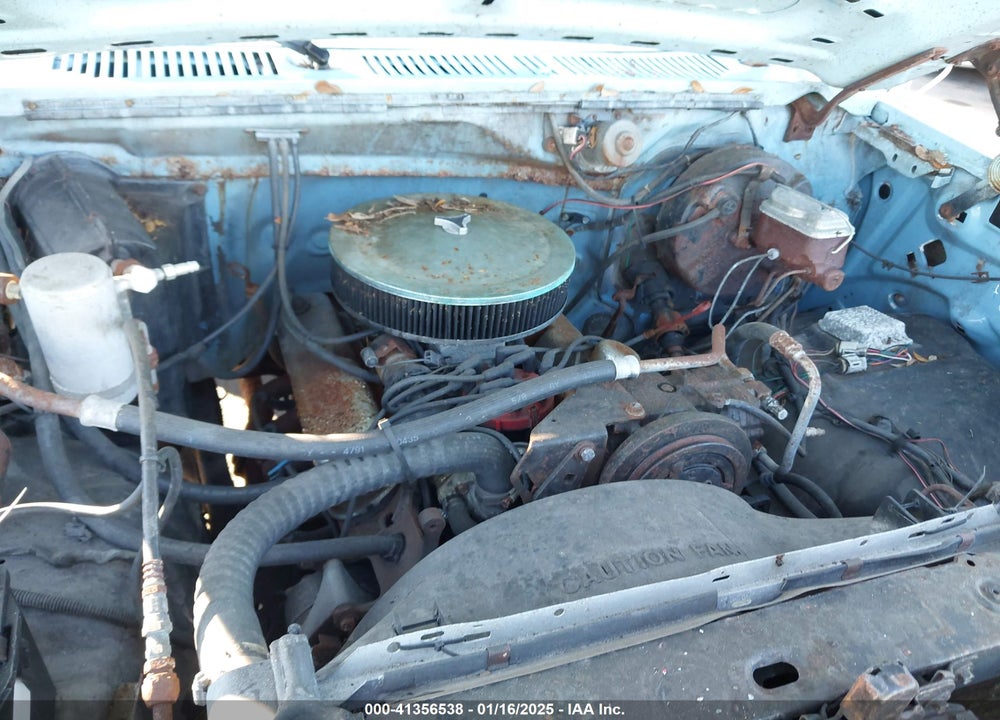 1981 FORD BRONCO U100 VIN: 1FMDU15F6BLA65294