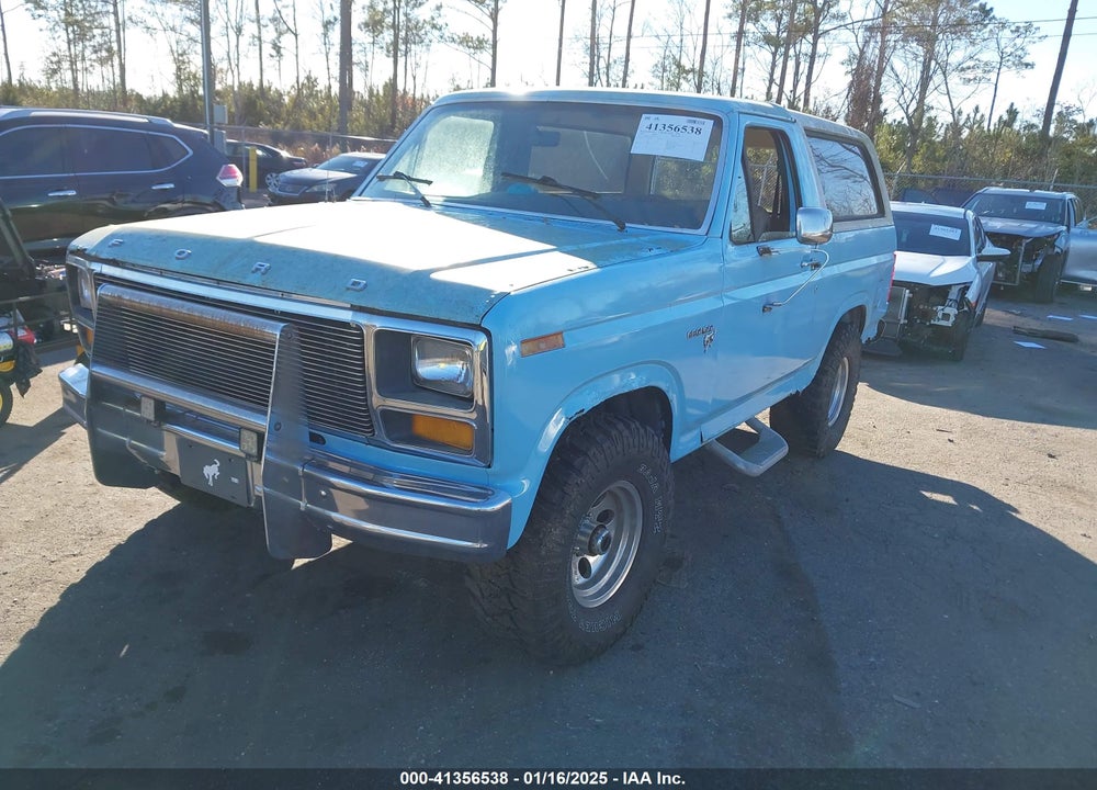1981 FORD BRONCO U100 VIN: 1FMDU15F6BLA65294