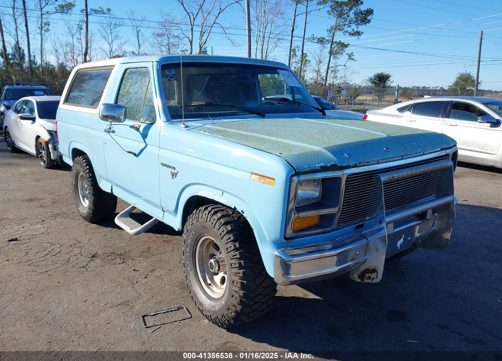 1981 FORD BRONCO U100 VIN: 1FMDU15F6BLA65294
