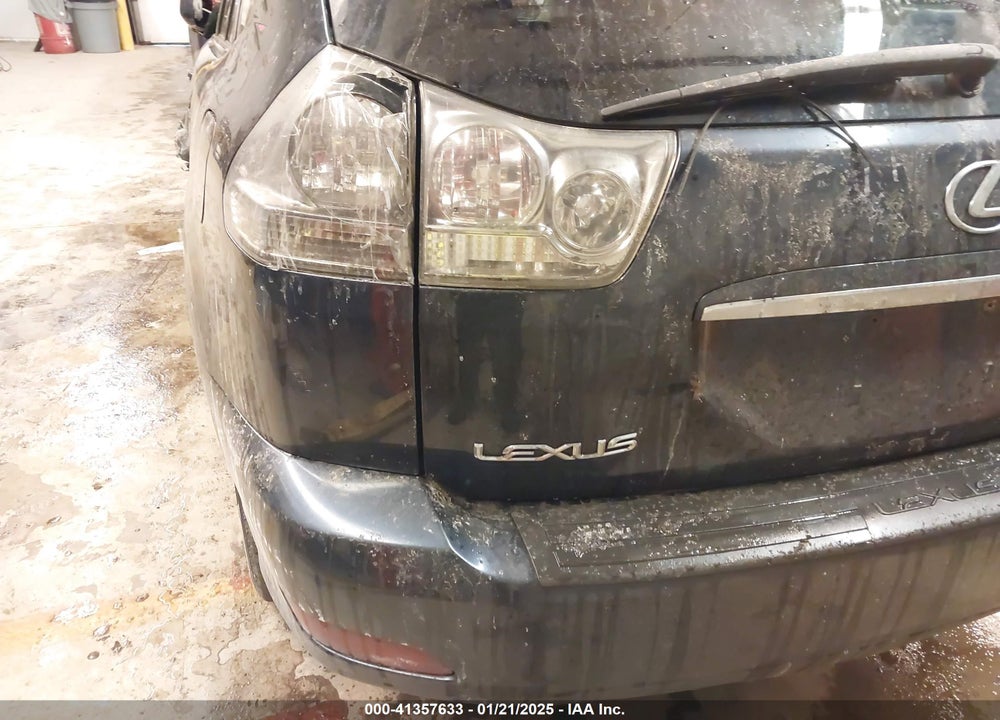 2007 LEXUS RX 350 VIN: 2T2HK31U07C037528