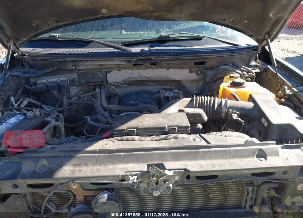 2013 FORD F-150 STX VIN: 1FTFX1EF4DFD01821