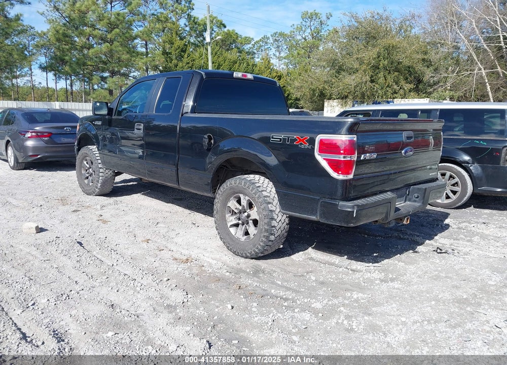 2013 FORD F-150 STX VIN: 1FTFX1EF4DFD01821
