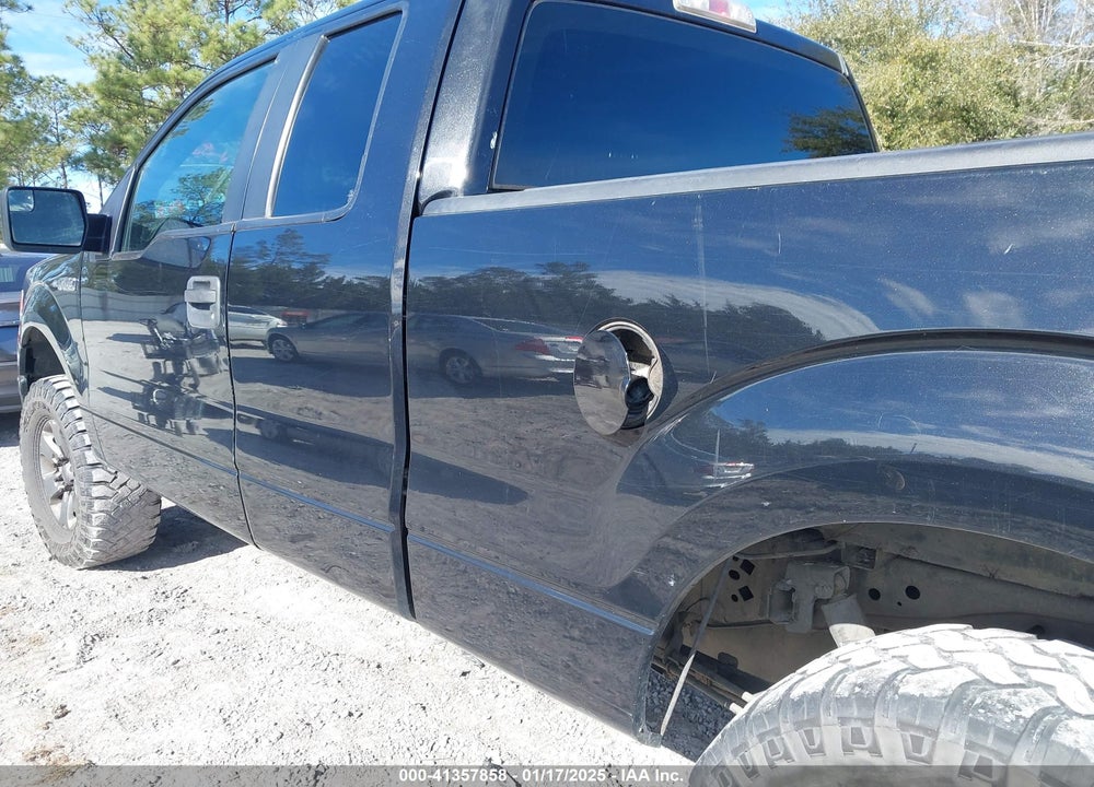 2013 FORD F-150 STX VIN: 1FTFX1EF4DFD01821