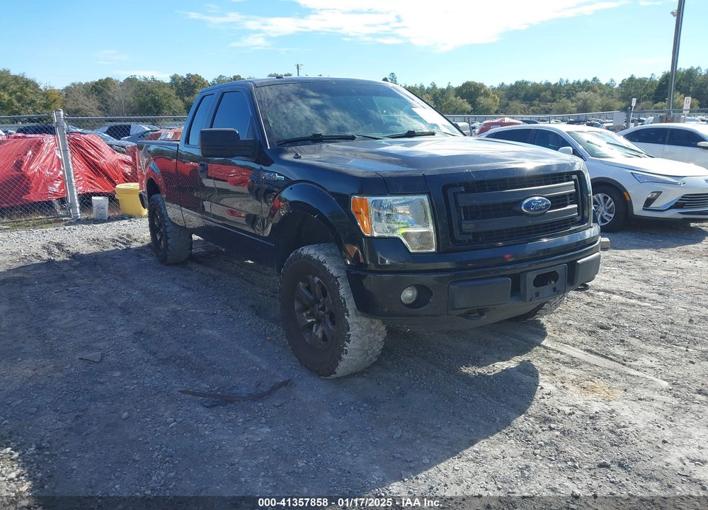 2013 FORD F-150 STX VIN: 1FTFX1EF4DFD01821