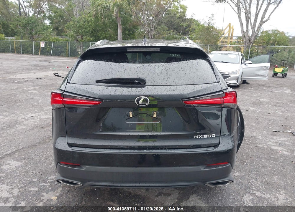 2019 LEXUS NX 300 VIN: JTJBARBZ3K2217312