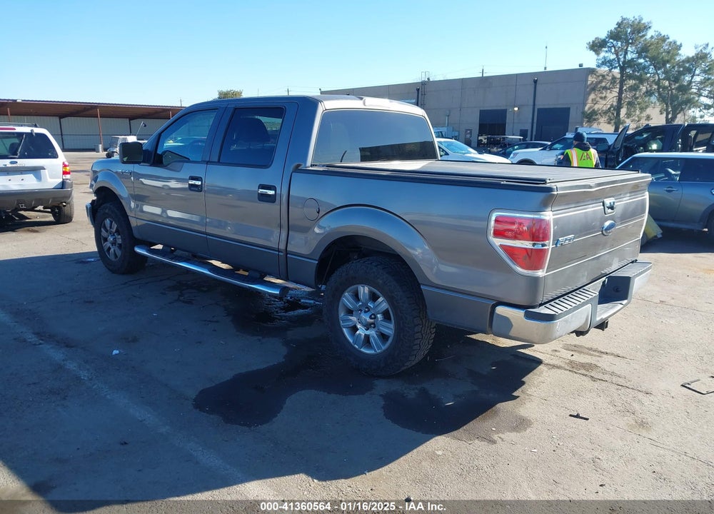 2010 FORD F-150 VIN: 1FTEW1C87AFA35354