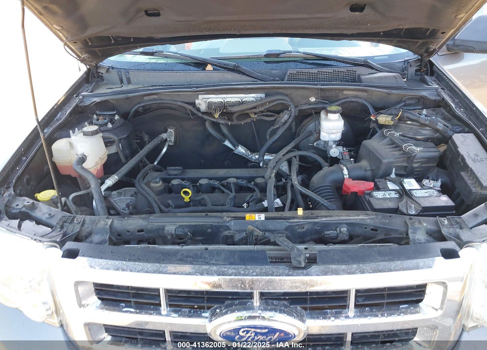 2011 FORD ESCAPE XLT VIN: 1FMCU0D79BKC63888