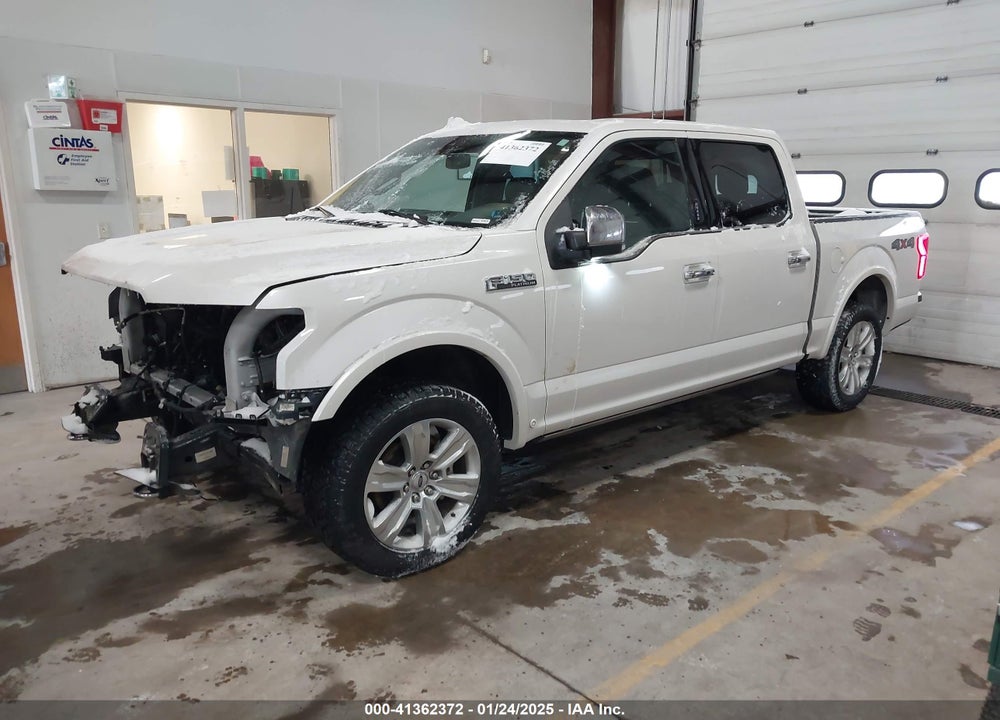 2019 FORD F-150 PLATINUM VIN: 1FTEW1E51KFA39873