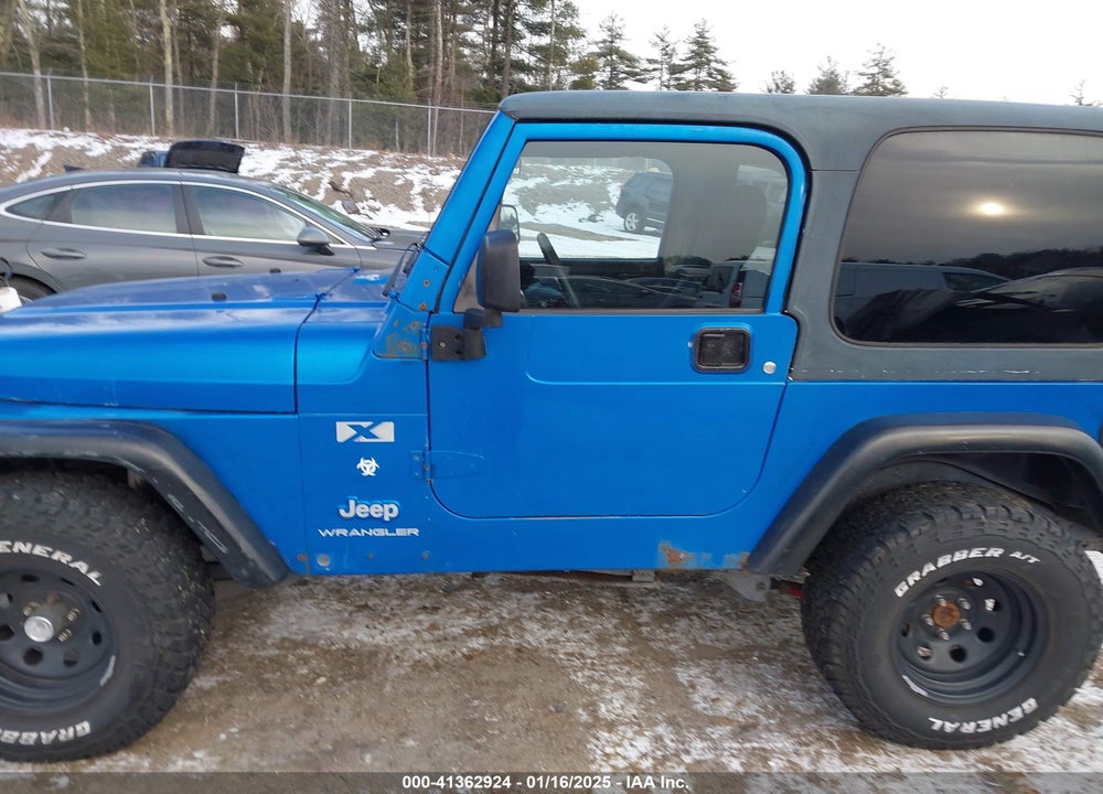2003 JEEP WRANGLER X VIN: 1J4FA39S43P303978