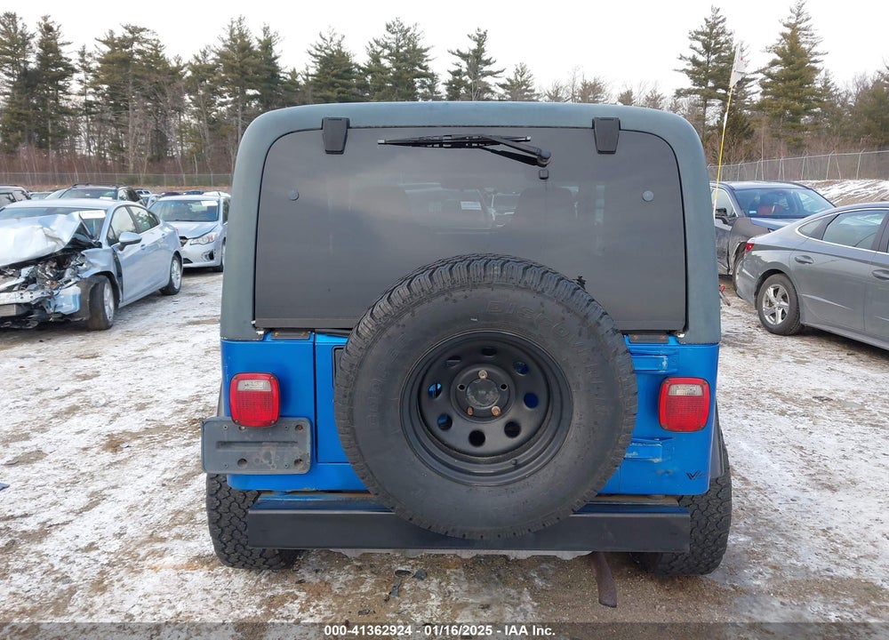 2003 JEEP WRANGLER X VIN: 1J4FA39S43P303978