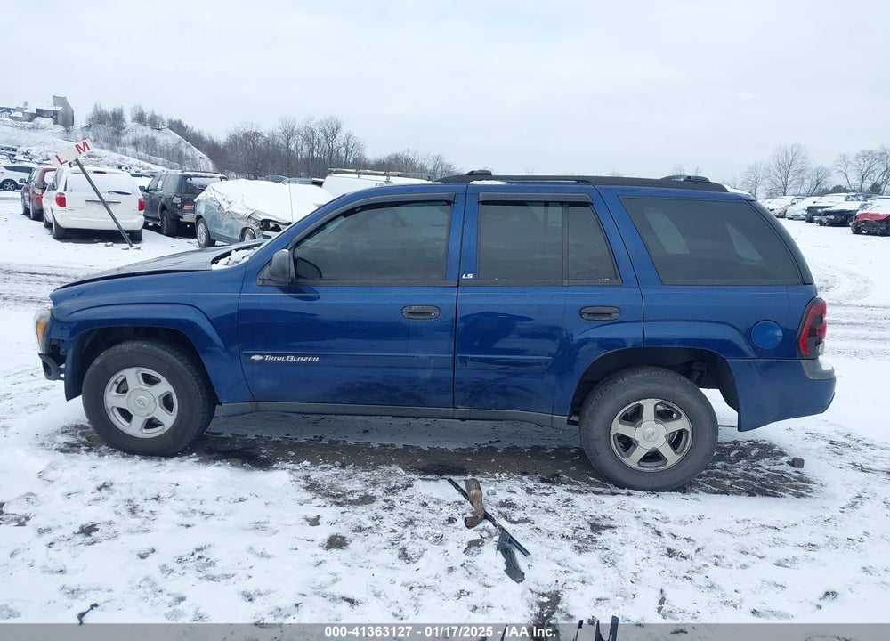 2002 CHEVROLET TRAILBLAZER LS VIN: 1GNDT13S222195223