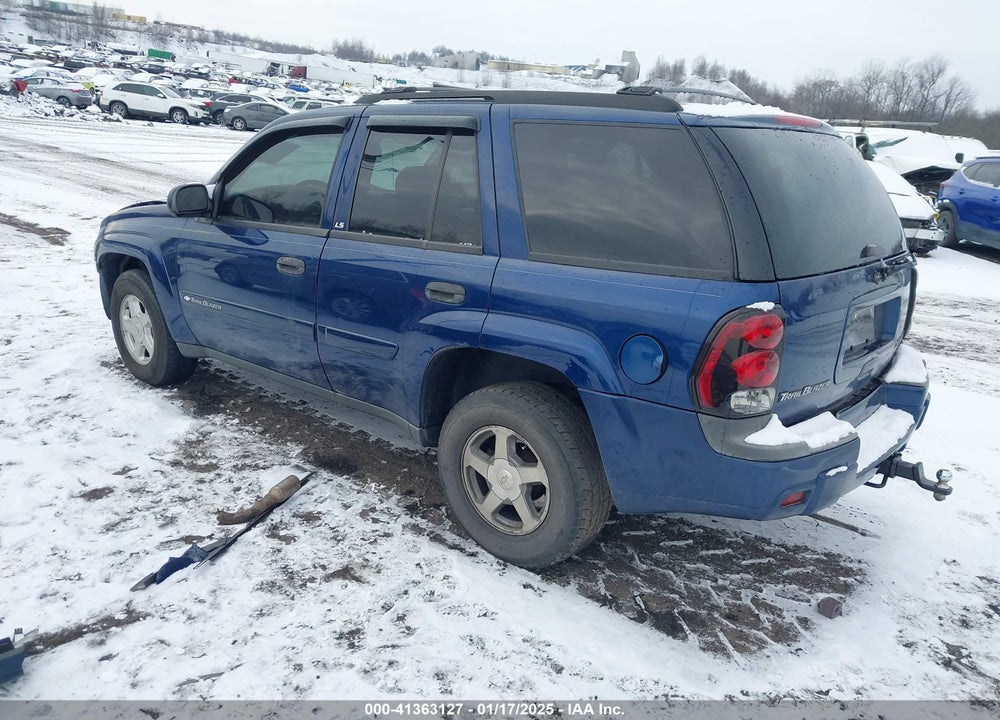 2002 CHEVROLET TRAILBLAZER LS VIN: 1GNDT13S222195223