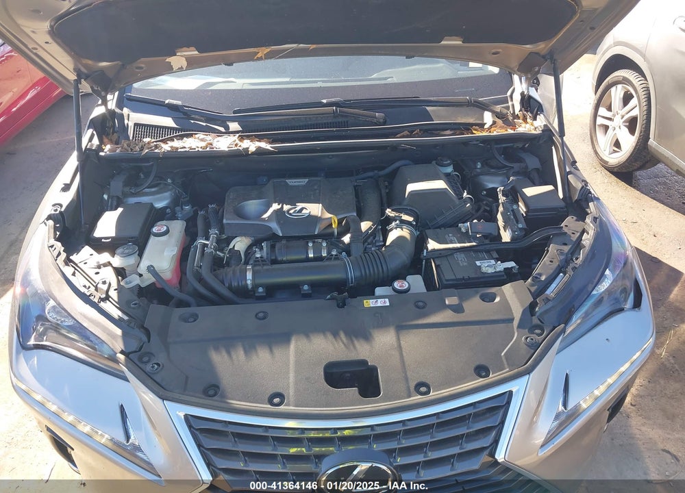 2020 LEXUS NX 300 VIN: JTJAARBZ1L2162355