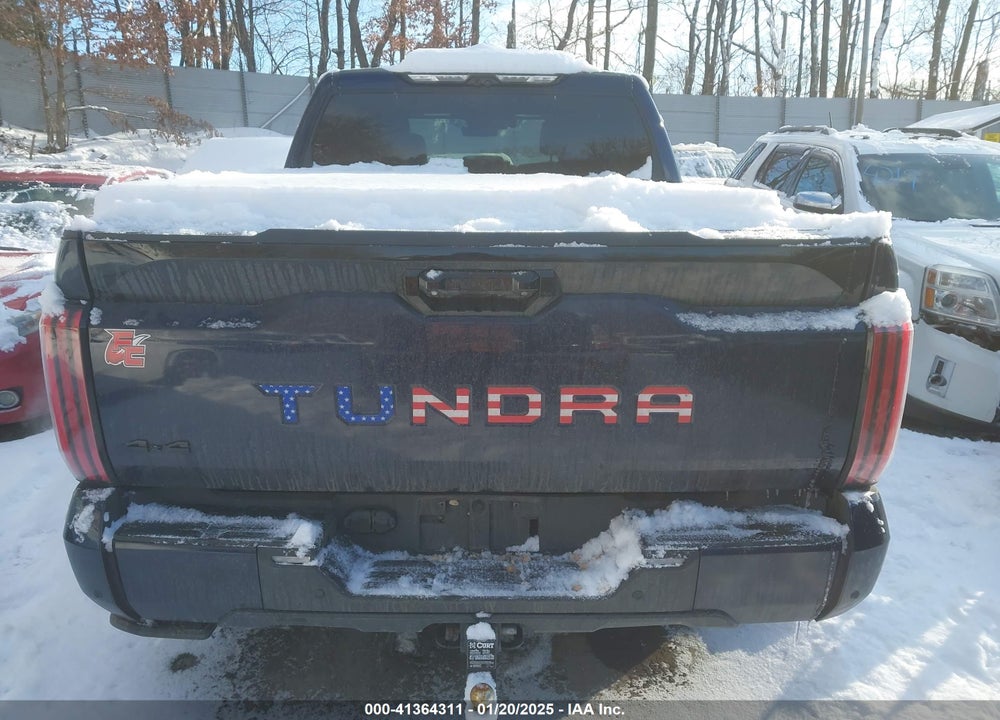 2023 TOYOTA TUNDRA VIN: 5TFNA5DB4PX064765