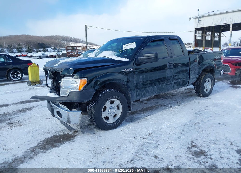 2013 FORD F-150 XL VIN: 1FTFX1EF9DFC55595