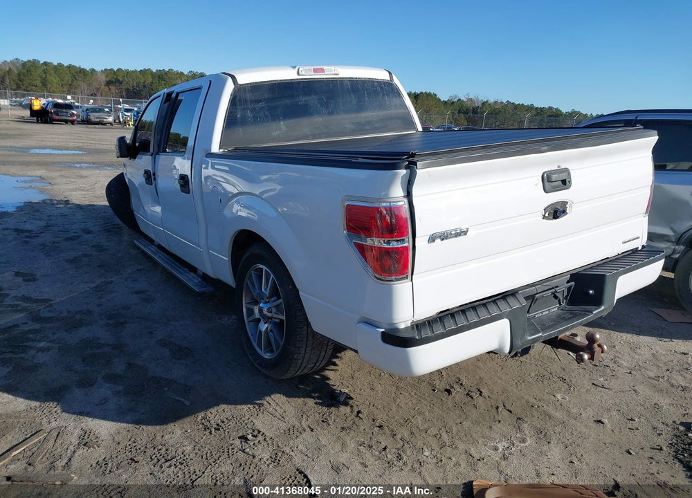 2014 FORD F-150 VIN: 1FTFW1CF6EFA07781